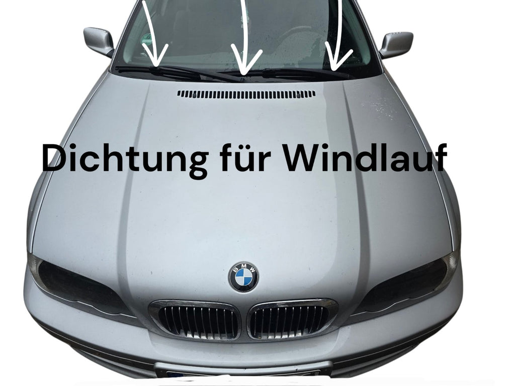 Seitenfenster Dichtung für bei BMW E46 Coupé Links/Rechts 51368194742 513681941