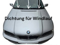 Seitenfenster Dichtung für bei BMW E46 Coupé Links/Rechts 51368194742 513681941