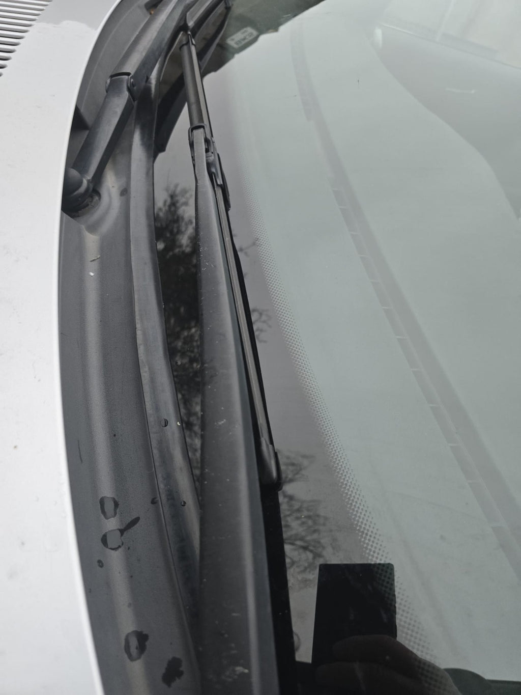 Seitenfenster Dichtung für bei BMW E46 Coupé Links/Rechts 51368194742 513681941