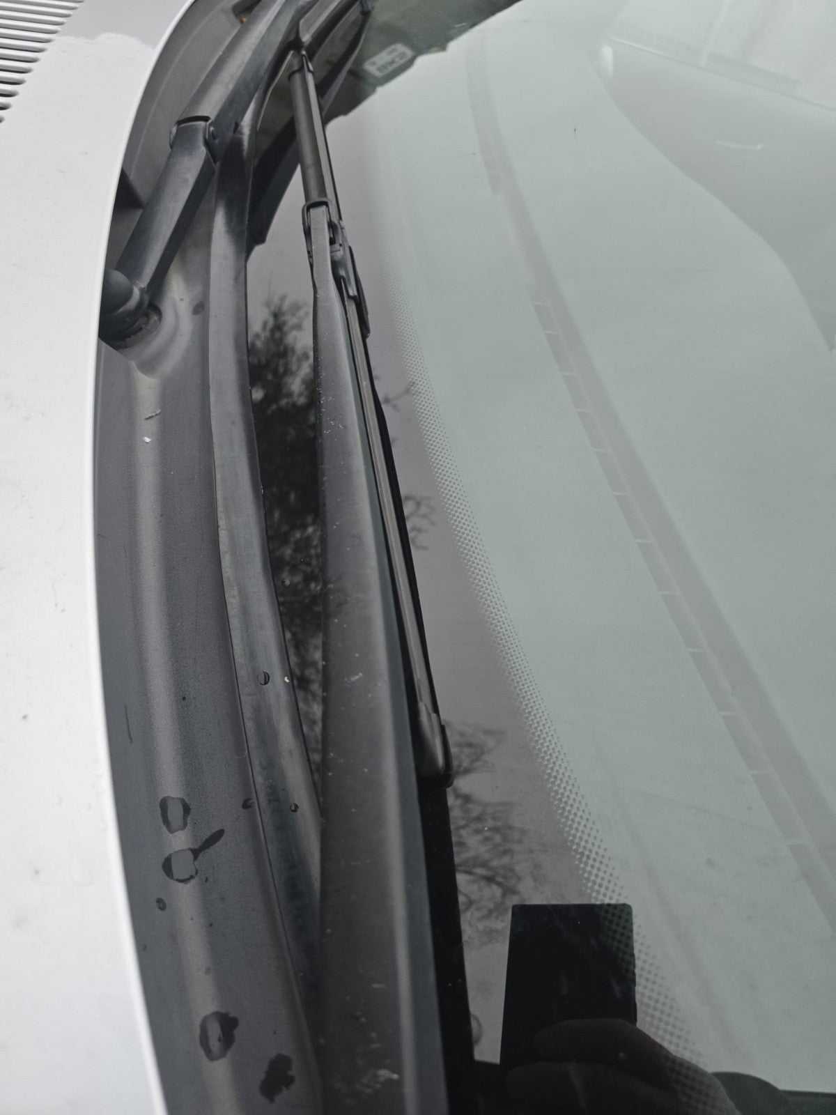 E46 Windlaufdichtung für BMW 3er Limo Touring E46 alternative zu 51718208483